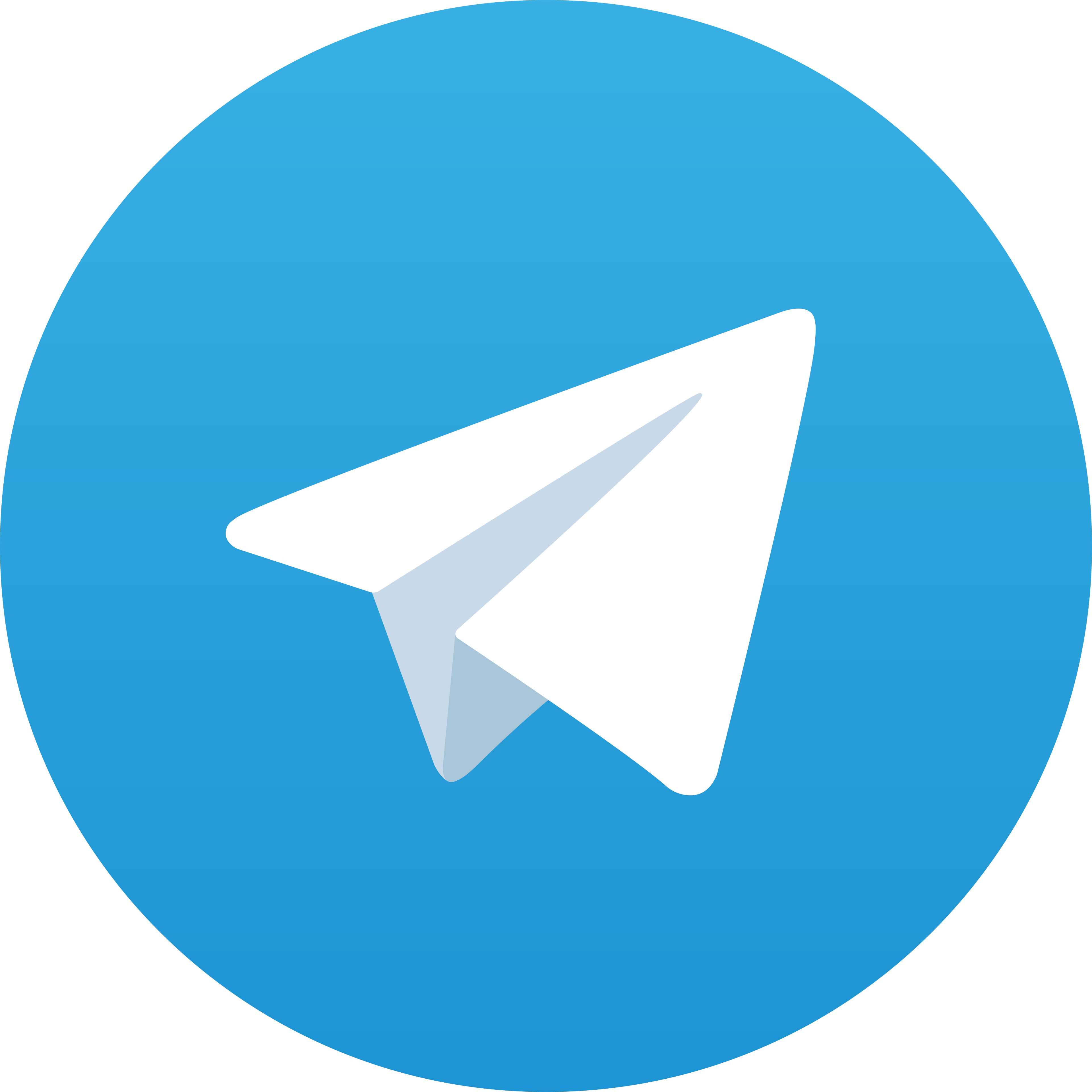 Telegram TORABIKA303